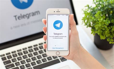 software.professionaldigital.online telegram